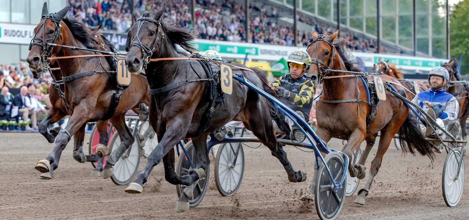 Houdini Shadow ved en tidligere sejr på Lunden med Birger Jørgensen i sulkyen.