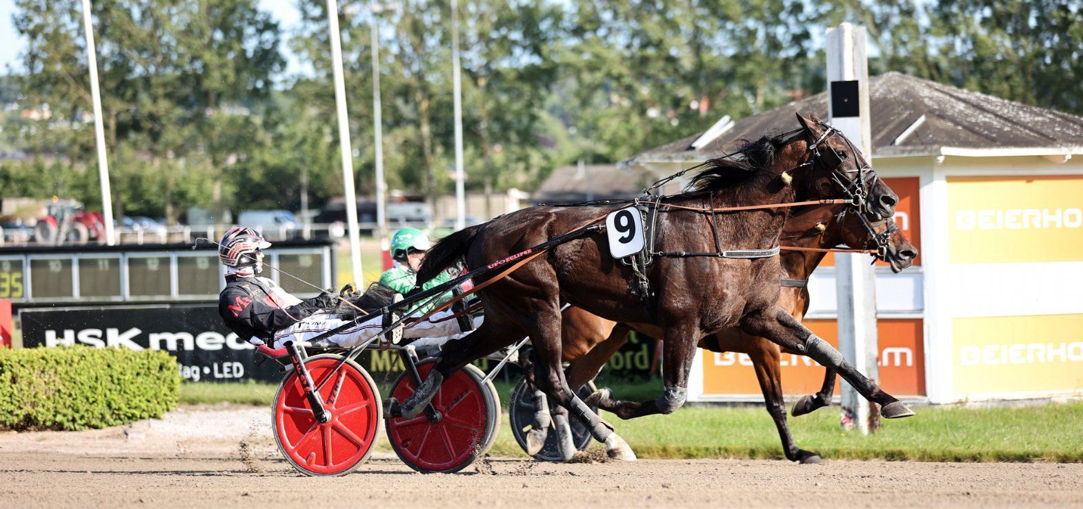Black Mountain har klar vinderchance fredag eftermiddag i Odense i montéløbet.