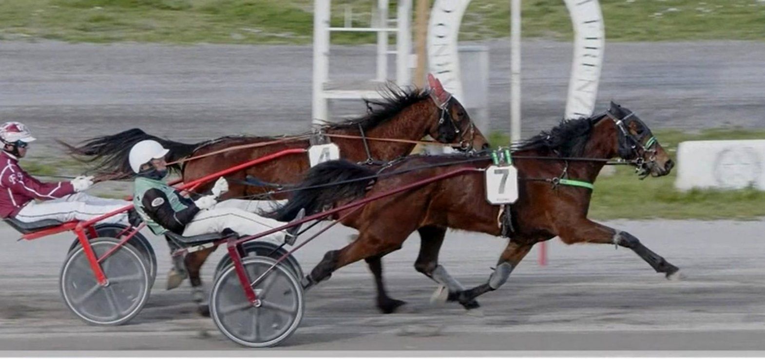 Nad Al Sheba-hoppen Mindy vandt en flot sejr i sin debut, som foregik i Italien.