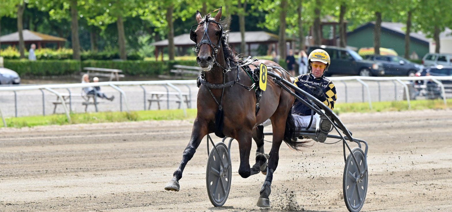 Kung Fu Dot Com ved en tidligere sejr i Odense.