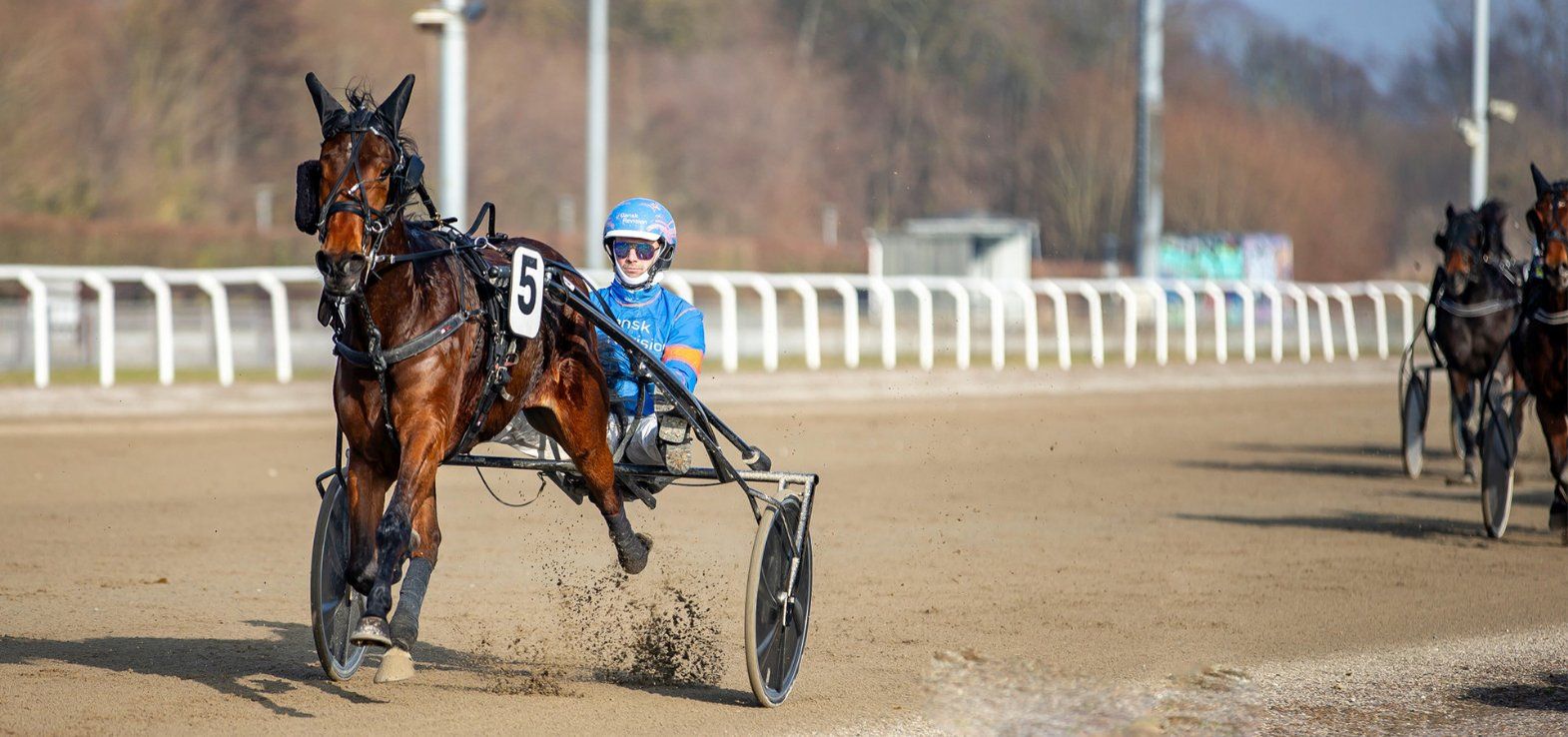 Manifeellikeawoman var overlegen i sin debut i Aalborg. Mandag gælder det en start på hjemmebanen i Skive.