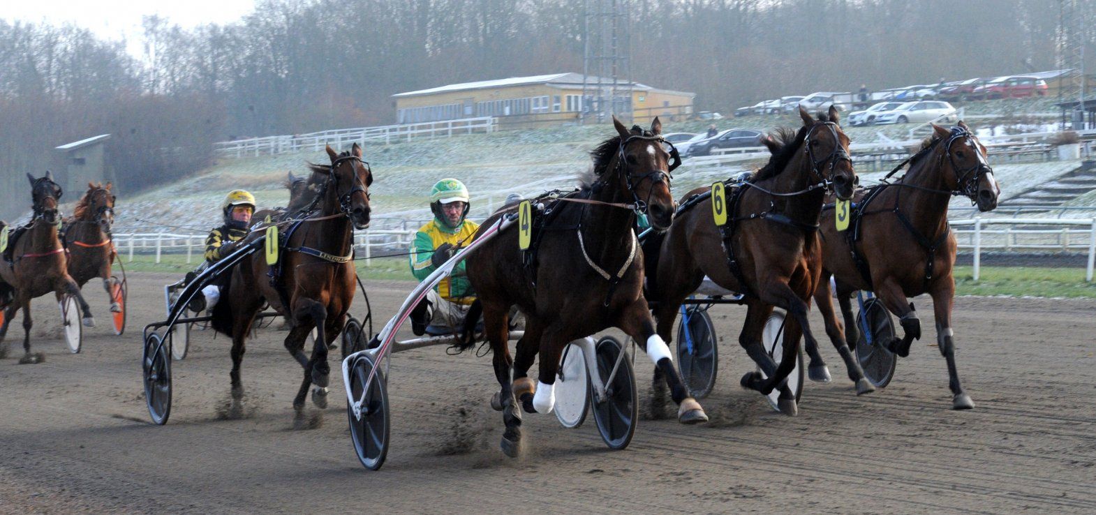 Hands Up Cash ved seneste sejr i Aarhus. Fredag starter den igen på samme bane.