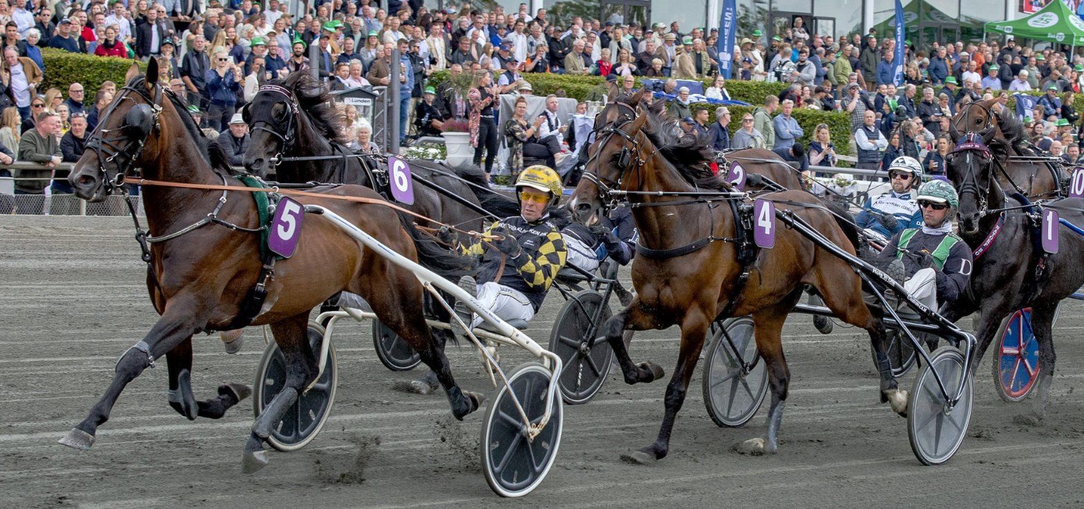 Emoji ved en sejr på Lunden med Birger Jørgensen i sulkyen