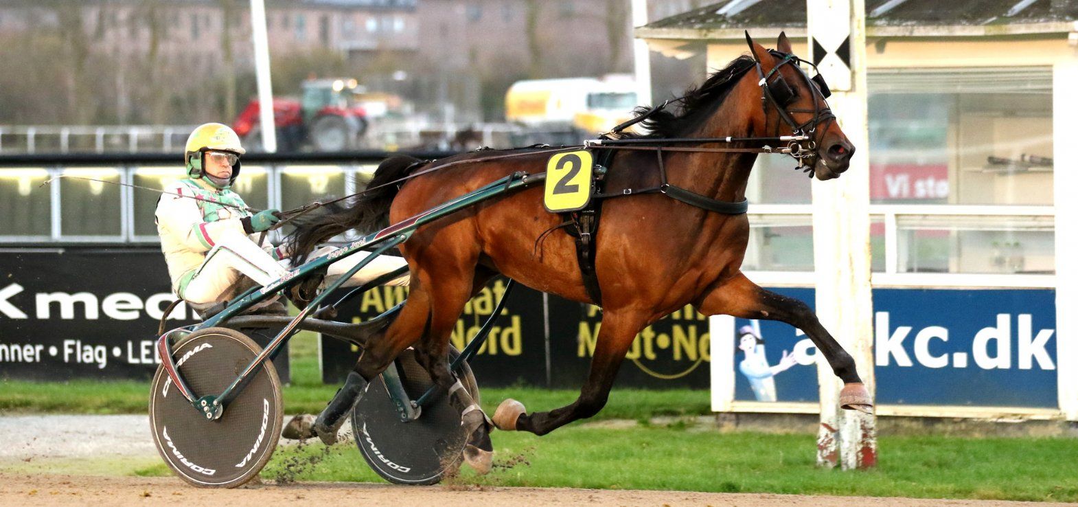 Jeppe Juel-trænede Hilton bliver favorit torsdag eftermiddag i Odense.