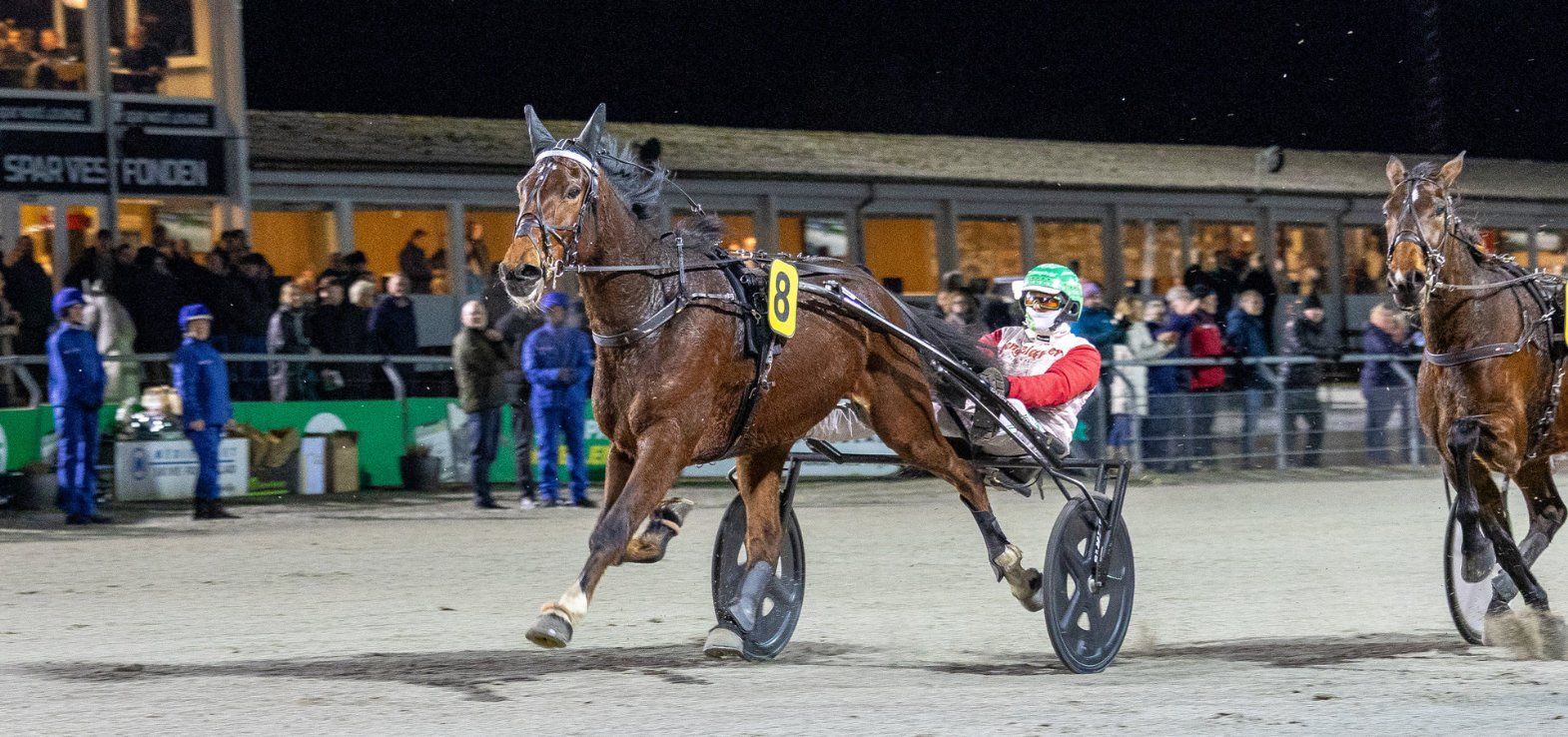 Magnus Ladegaard-trænede Ludvig Cash er fortsat ubesejret i karrieren efter fem starter. Søndag starter den på Lunden.