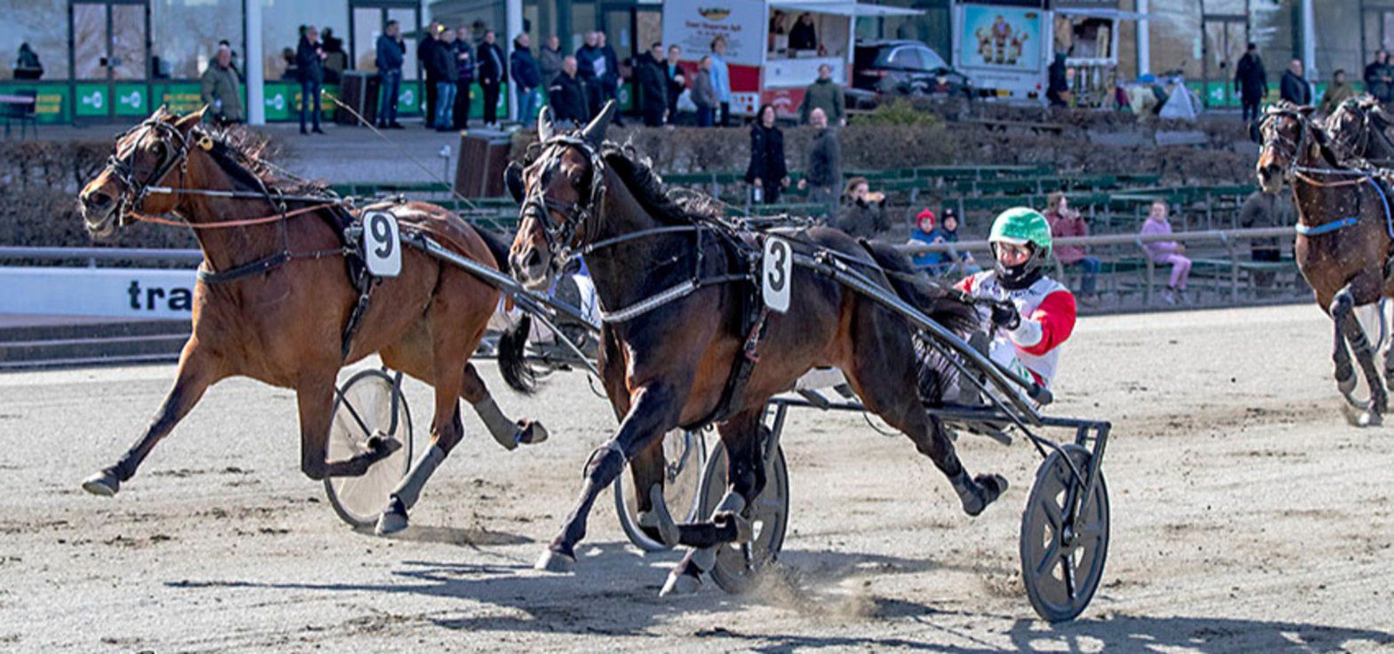 Manhattan Trot var en af tre Kim Kærslund-vindere med René Kjær i sulkyen.