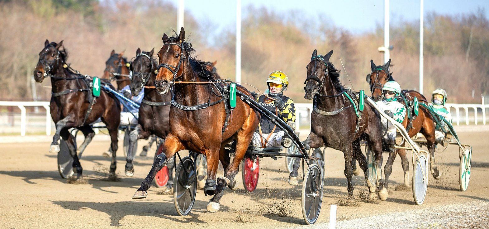 Reginald Dwight ved en sejr i Aalborg med Birger Jørgensen i sulkyen.