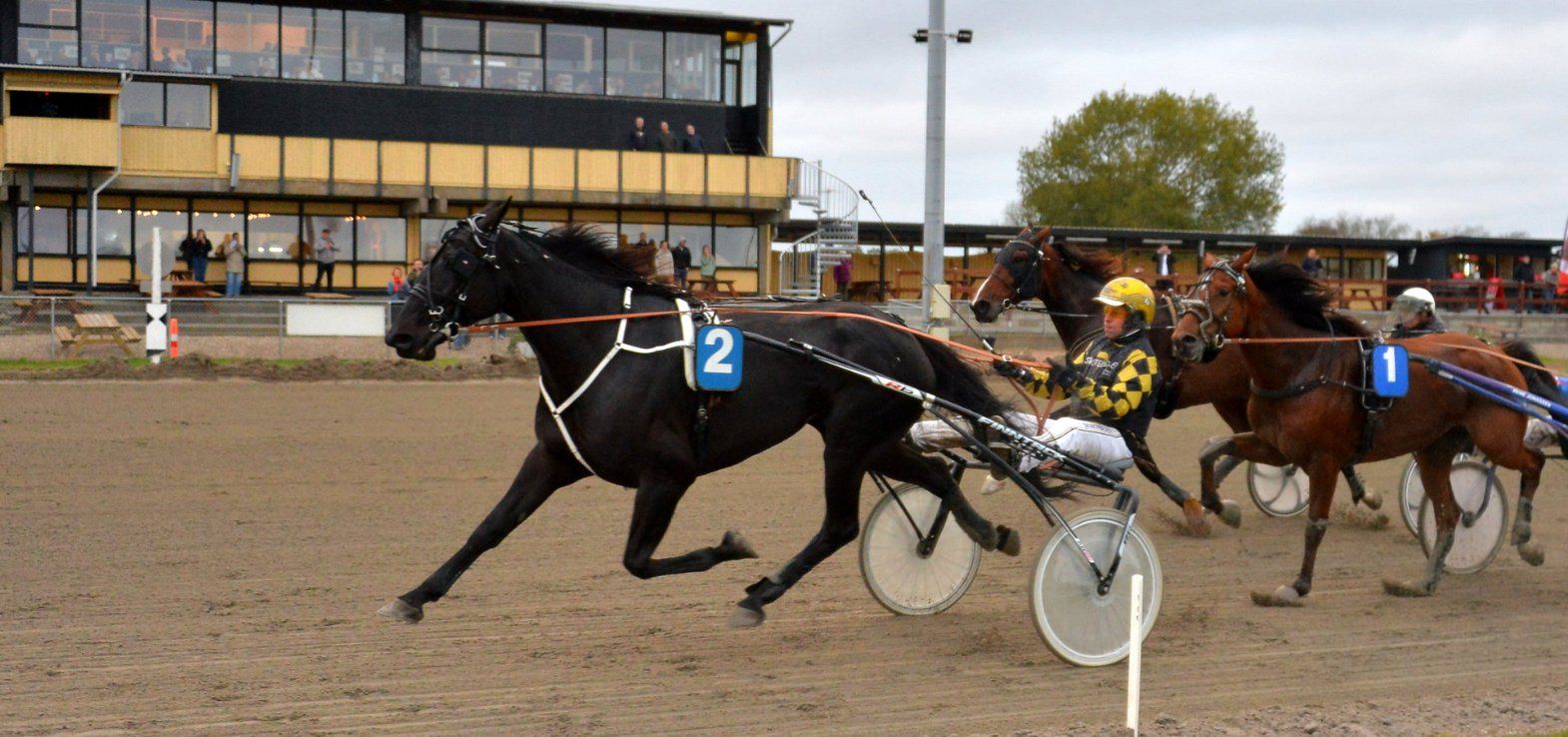 Love Lii ved en tidligere sejr på Nykøbing Falster Travbane.