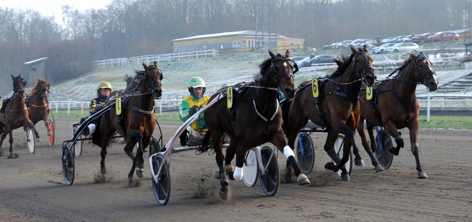 Hands Up Cash ved seneste sejr i Aarhus. Fredag starter den igen på samme bane.