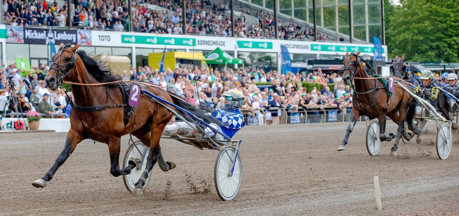 Derbyvinderen Get A Wish står nu på Robert Berghs træningsliste.