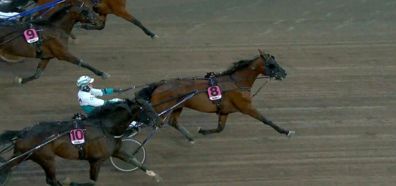 Indy Boy ses her ved en tidligere sejr i Sverige. Lørdag er den favorit i V85 trods bagspor.