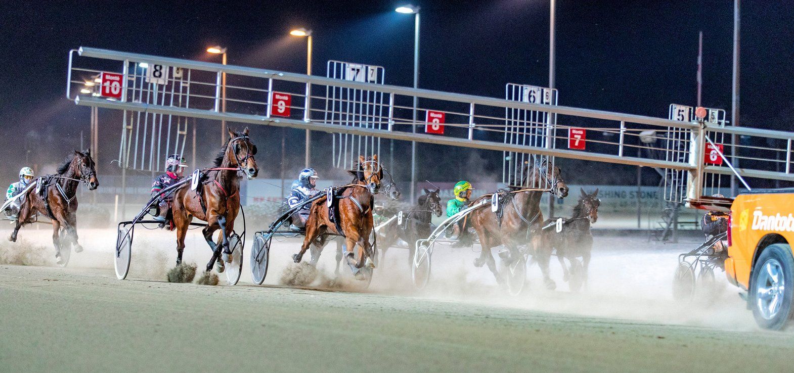 Handsome Henry W A ses her ved en start på Lunden. Det er hesten med nr. 7.