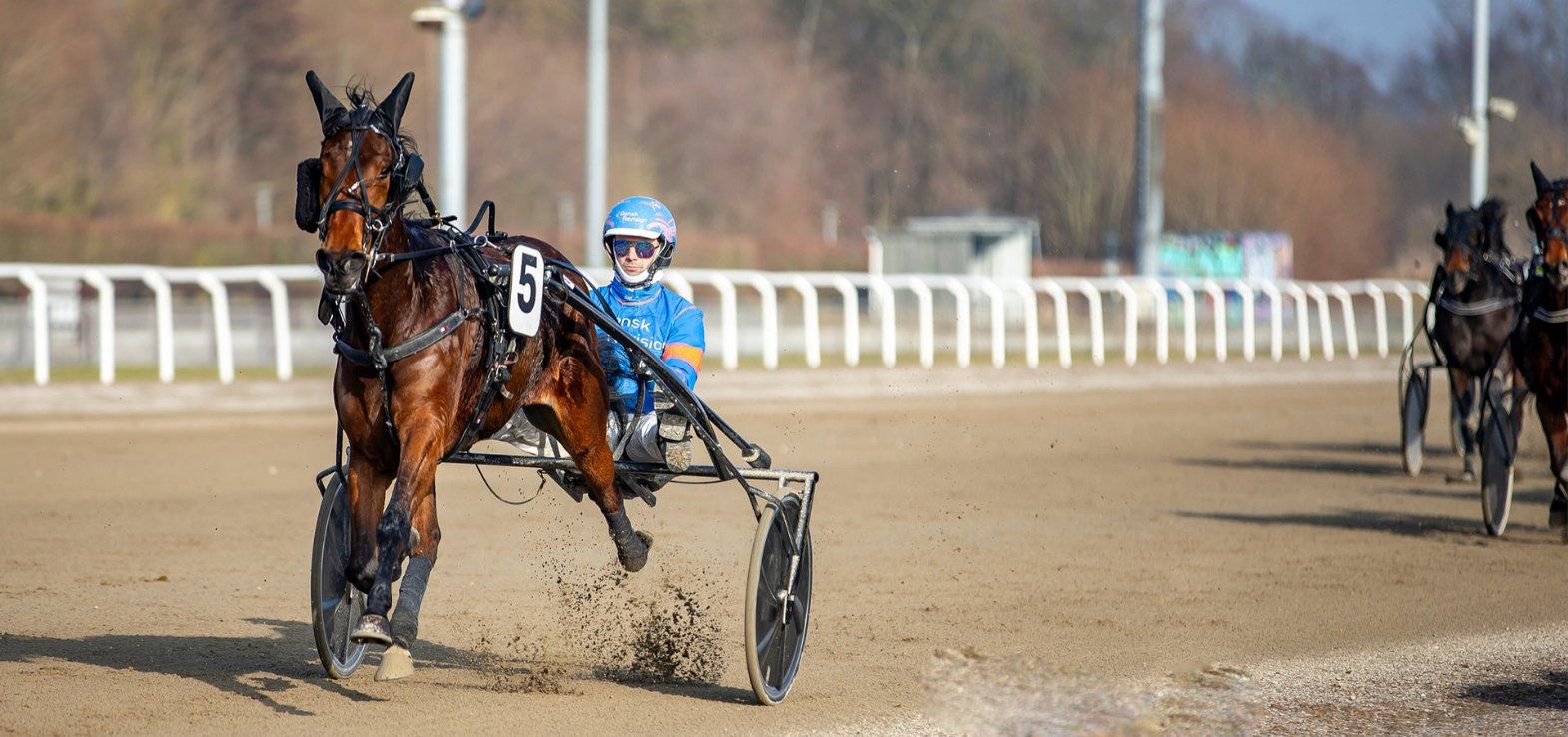 Manifeellikeawoman var overlegen i sin debut i Aalborg. Fredag gælder det en start i Odense.