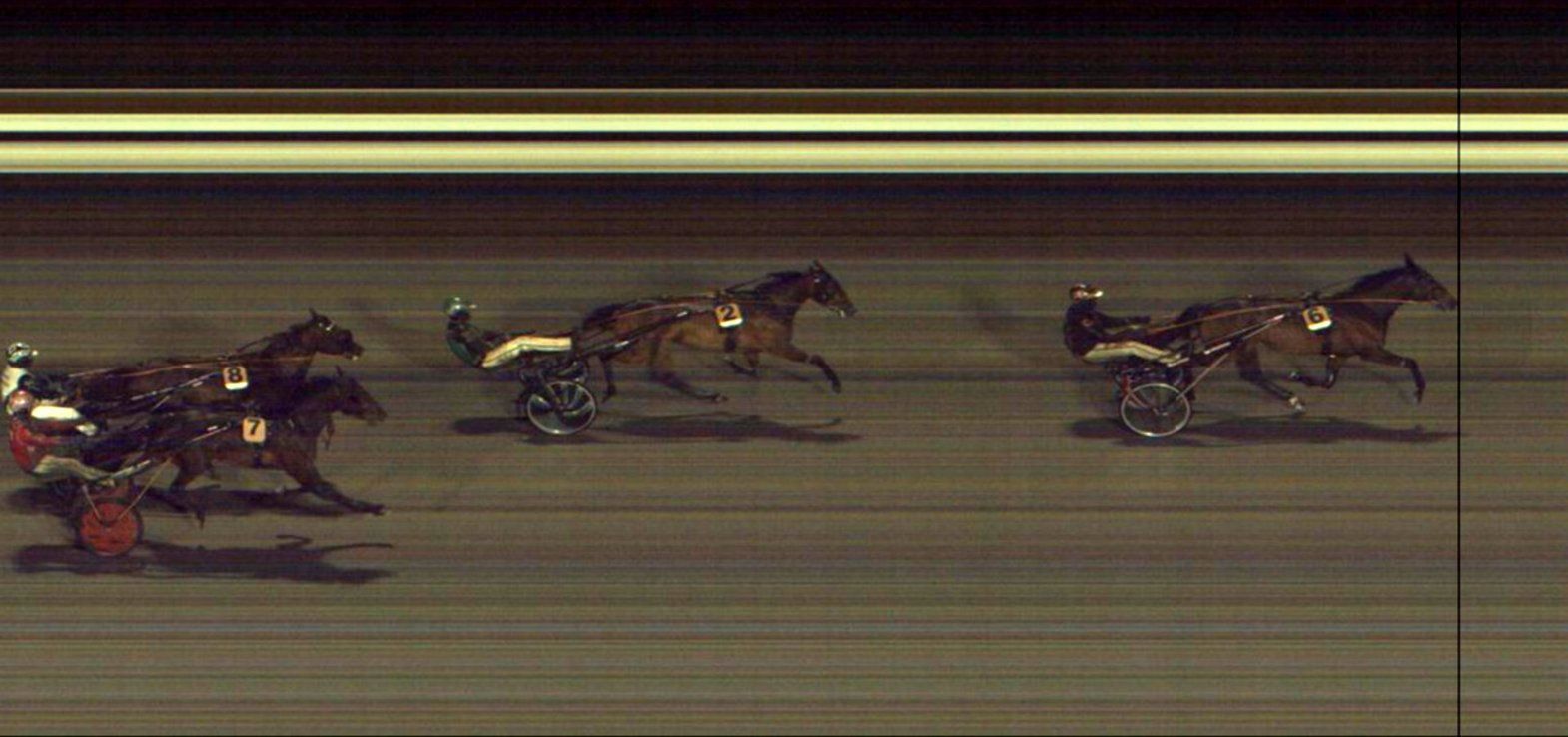 Lady Zola gik et fremragende løb, men måtte nøjes med andenpladsen bag Prank.