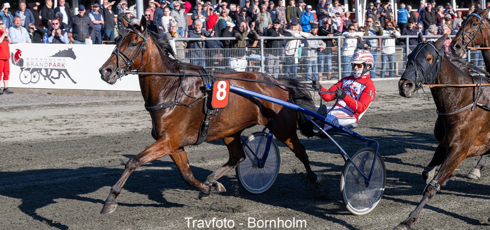 Cerosso ved en af sine mange sejre på Bornholm med Mads Petersen i sulkyen.