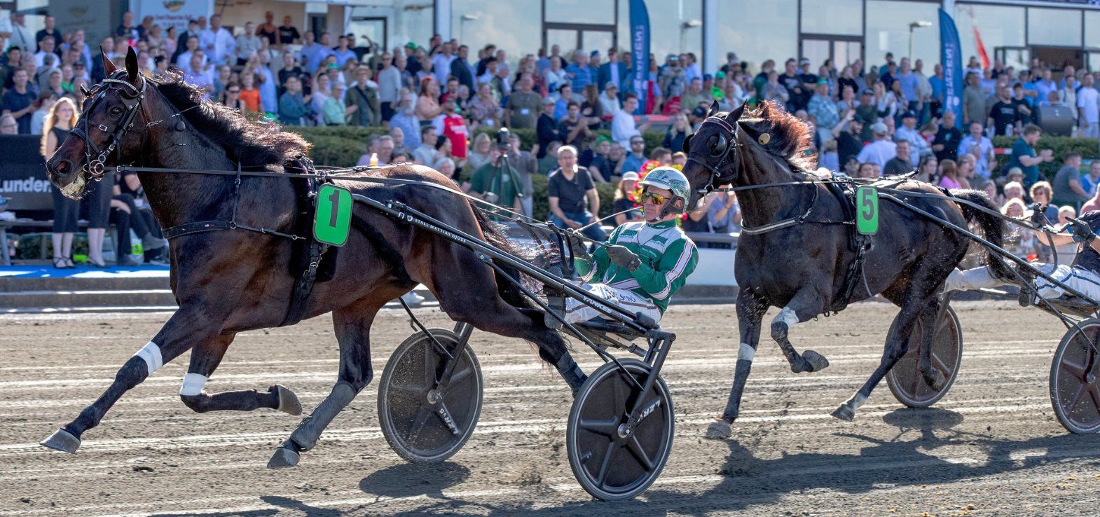 Icebreaker ved en tidligere sejr på Charlottenlund Travbane. Torsdag fik den danske Derbyvinder fra 2024 et wildcard til Copenhagen Cup.
