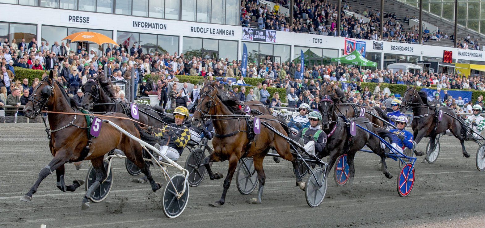 Emoji ved en sejr på Lunden med Birger Jørgensen i sulkyen