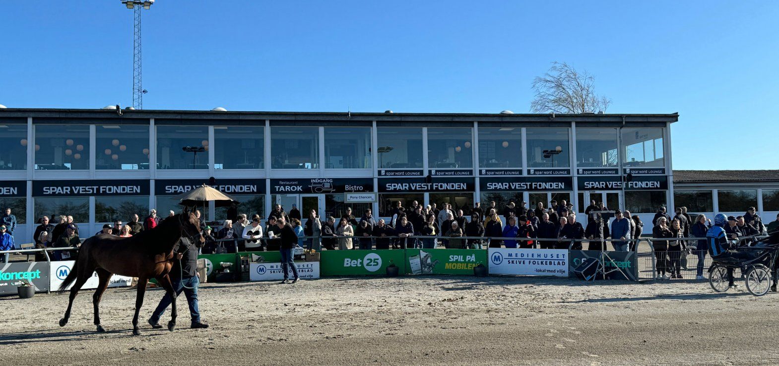Musketerauktionen på Skive Trav efter løbene var godt besøgt. Her er hest nummer 1 Mira Lund i ringen.