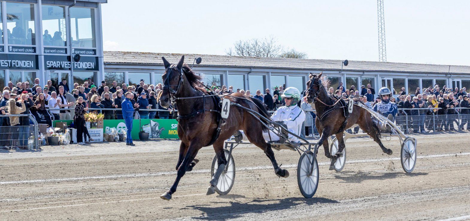 Hustle Rain vandt i ny banerekord i Skive i tiden 1.10,4a/1600m.