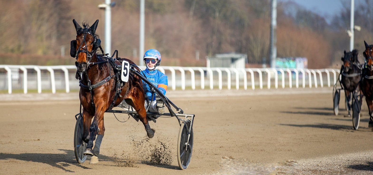 Manifeellikeawoman var overlegen i sin debut i Aalborg. Onsdag gælder det en start på hjemmebanen i Skive.