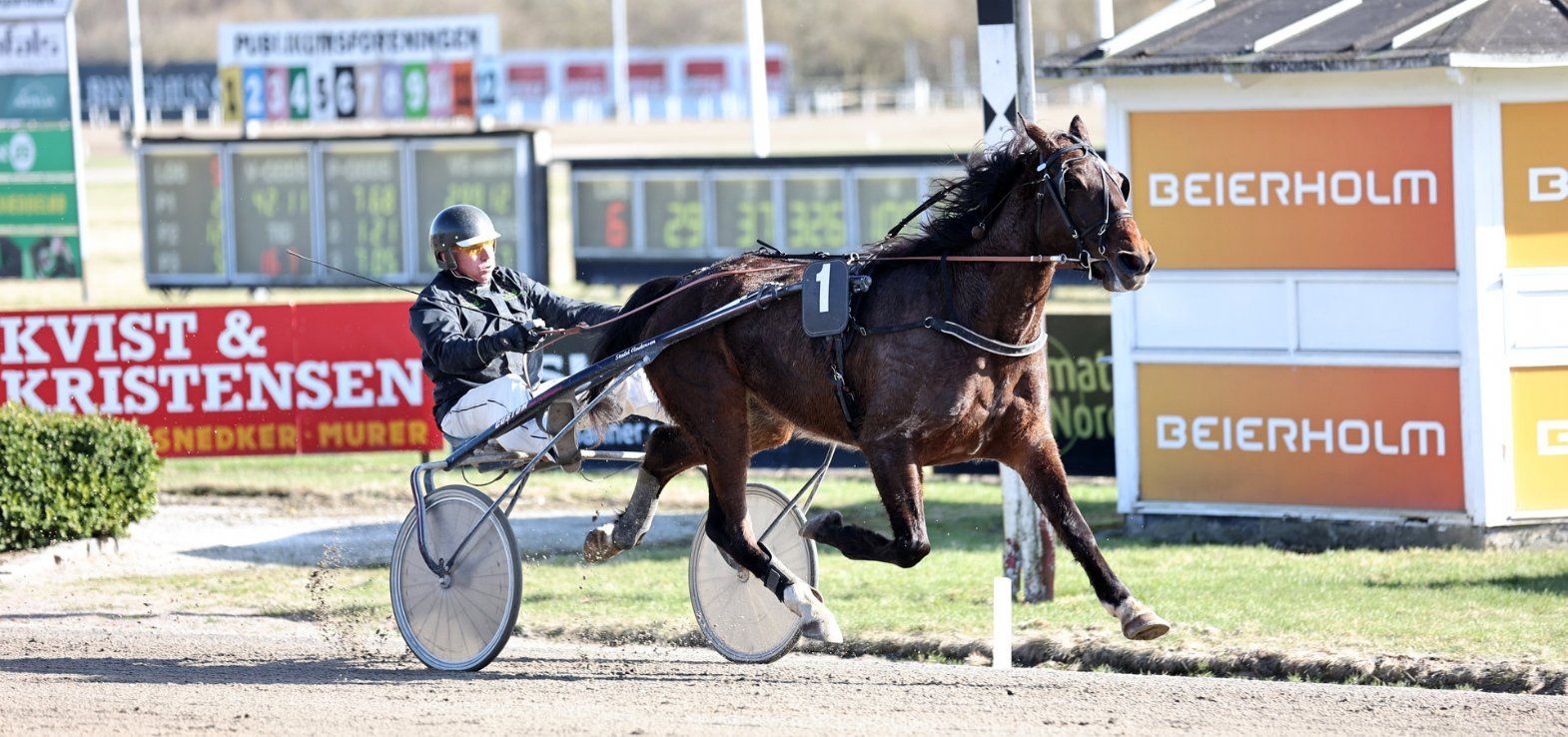 Mighty Meerswal ved en sejr med Bøje Laursen i sulkyen i Aalborg.