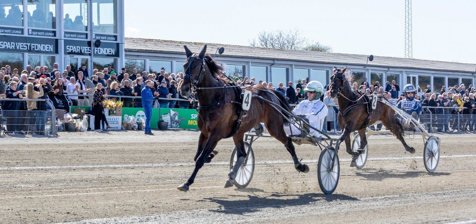 Hustle Rain vandt i ny banerekord i Skive i tiden 1.10,4a/1600m.