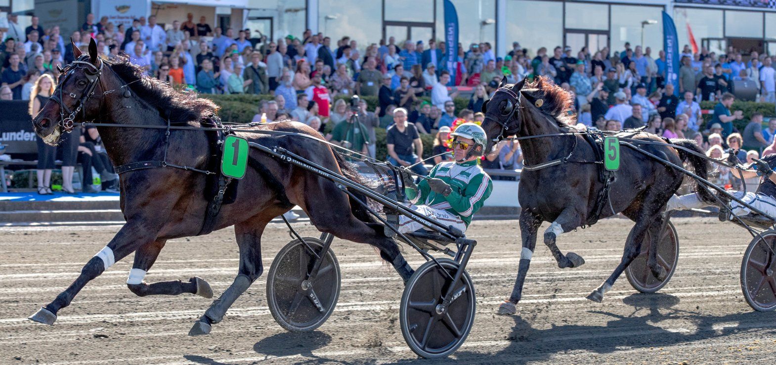 Icebreaker ved en tidligere sejr på Charlottenlund Travbane. Torsdag udgik den danske Derbyvinder desværre fra Copenhagen Cup 2026.