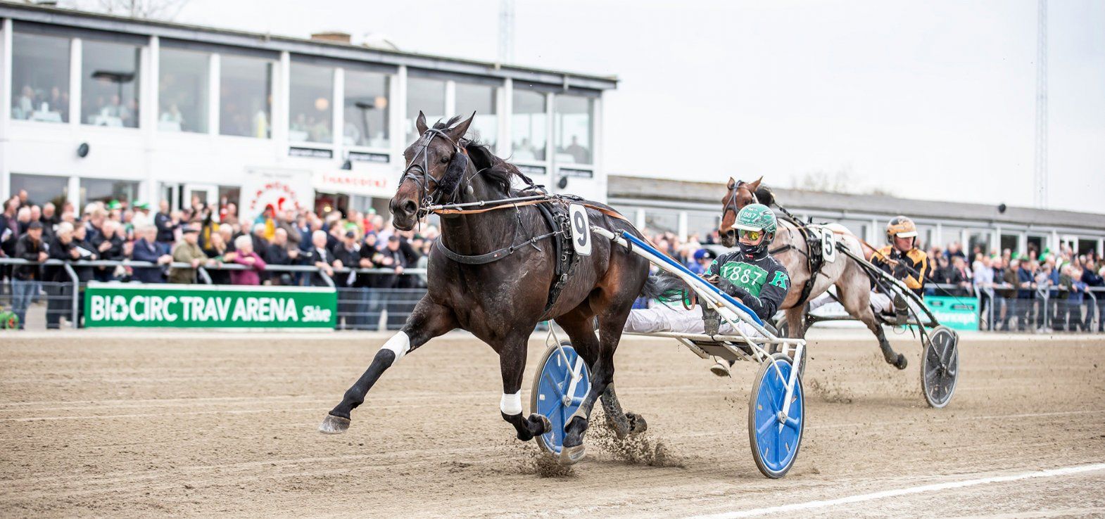 Point Of Perfect ved en tidligere sejr i Skive.