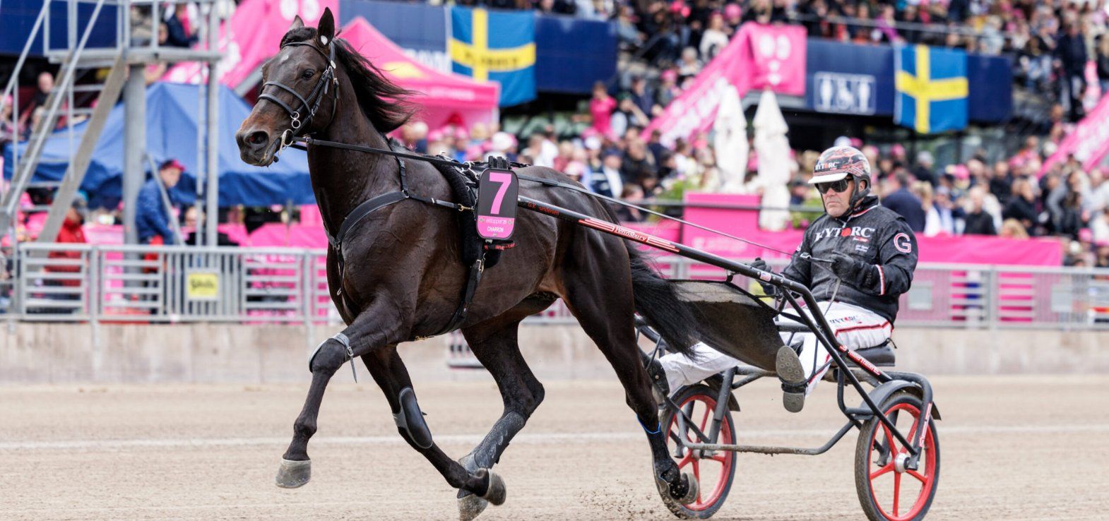 Charron under opvarmningen til Elitloppet 2025.