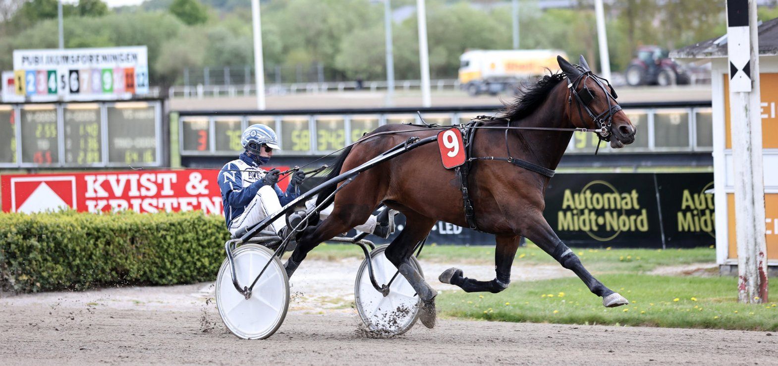 Loui L C ved en tidligere sejr i Aalborg. Onsdag starter den i Skive i et V65-løb.
