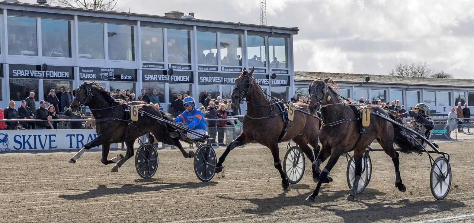 Både udvendige Kungfufighting (6) og indvendige Kalles Krisbe Notz (1) er tilmeldt pointberegningen til Grand Circle 5-års Championat.