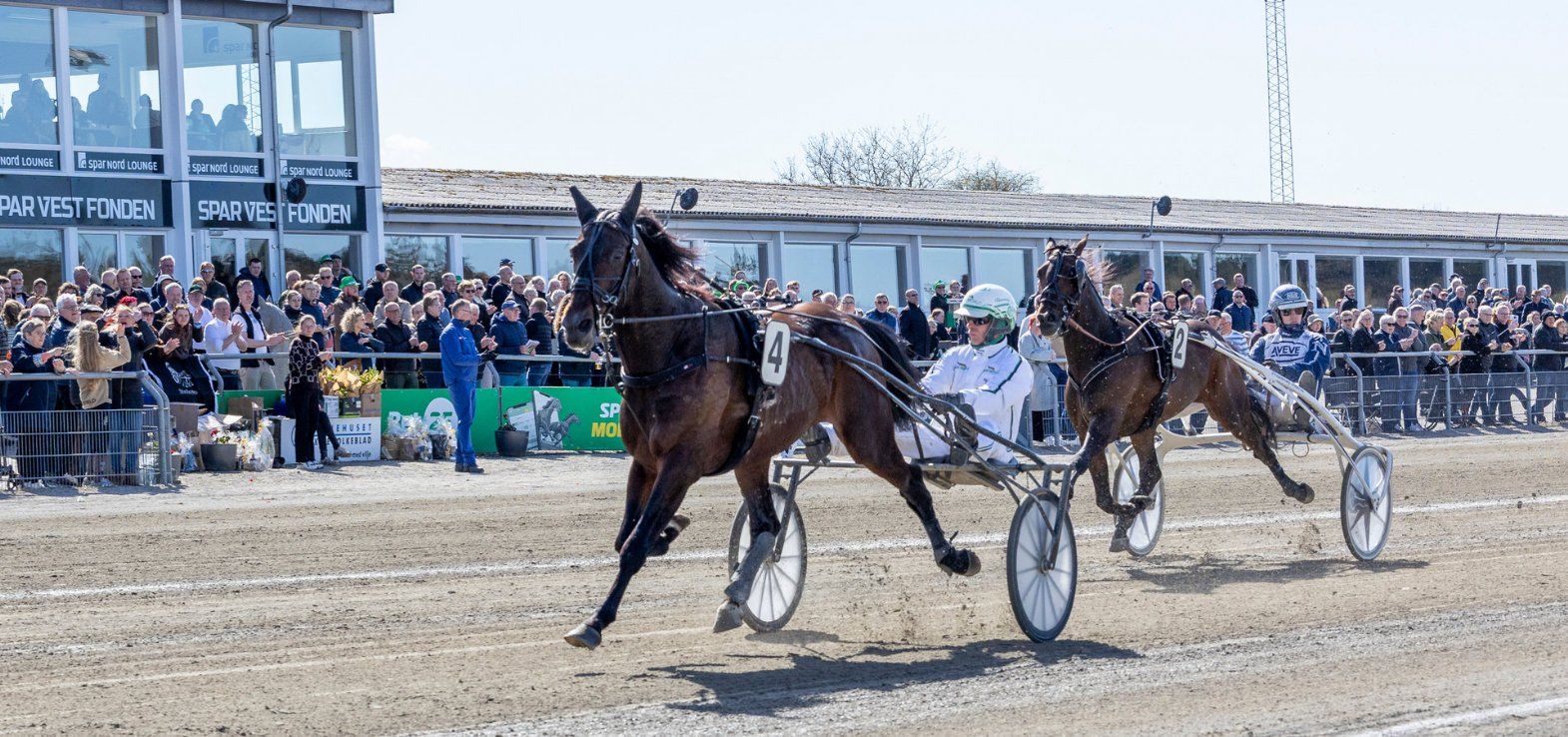 Hustle Rain vandt i ny banerekord i Skive i tiden 1.10,4a/1600m.