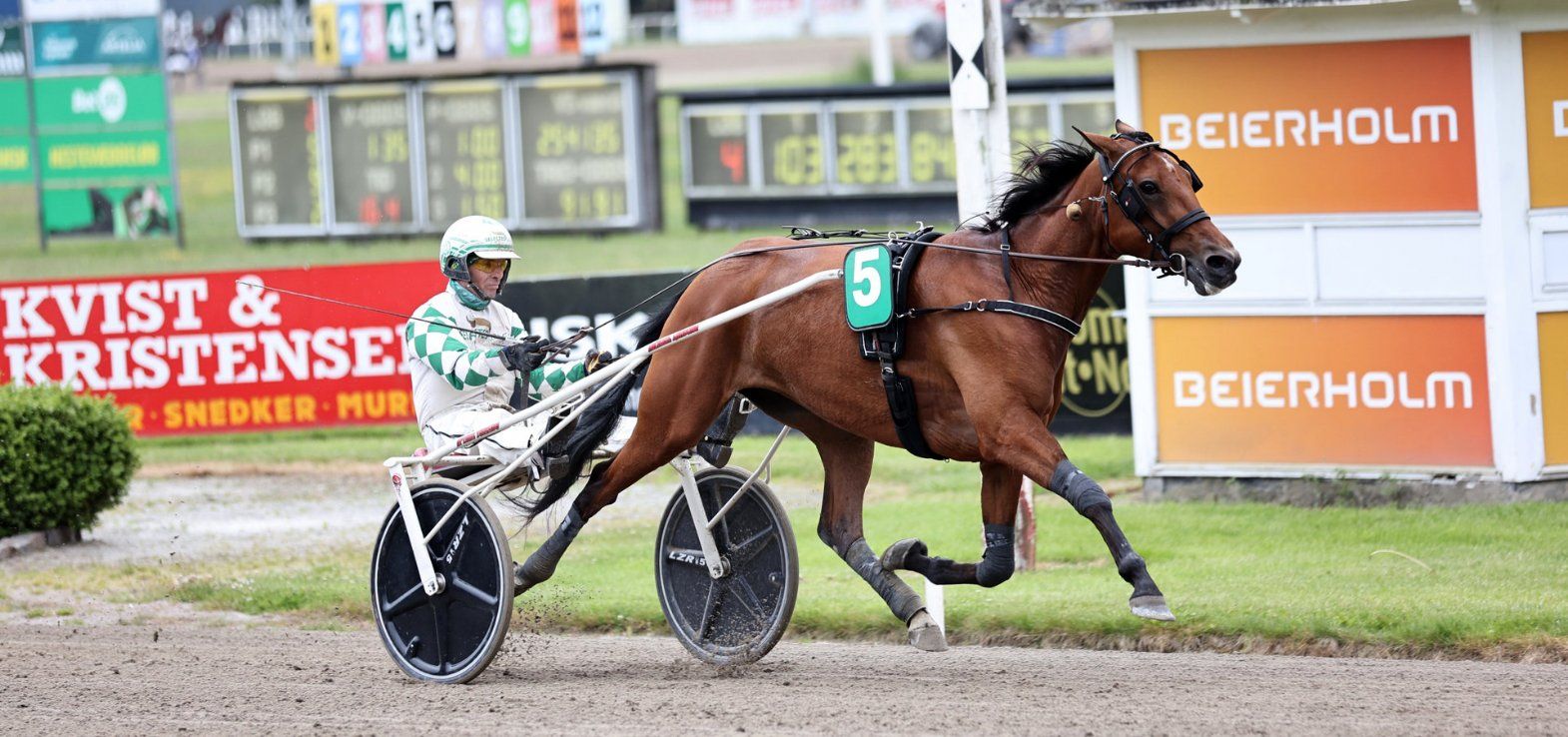 Kaley D C var alene på målfotoet i Grand Circle 5-års Hoppechampionat