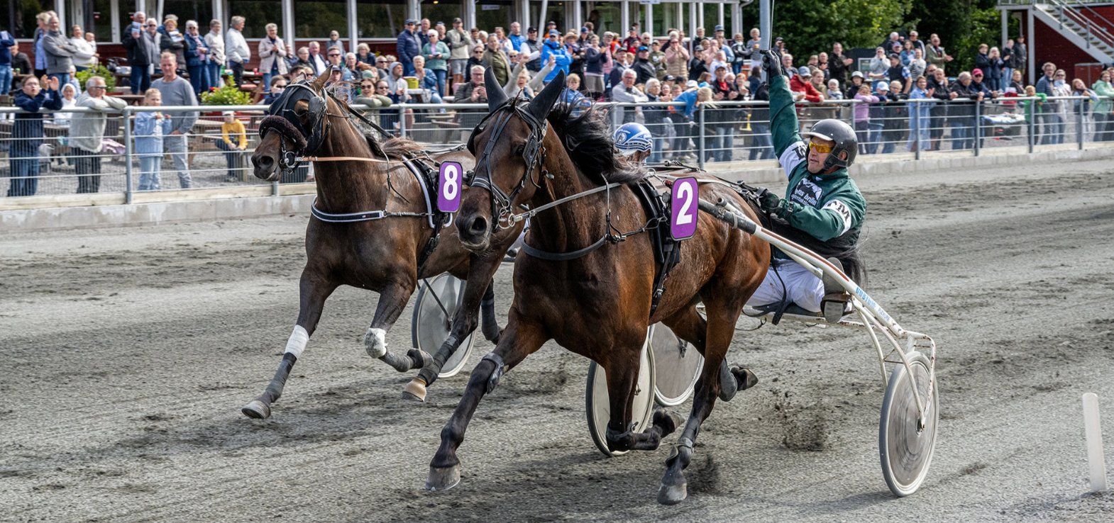 Inter Flamingo ved en sejr med sin trænner Tonni K. Mogensen i sulkyen.