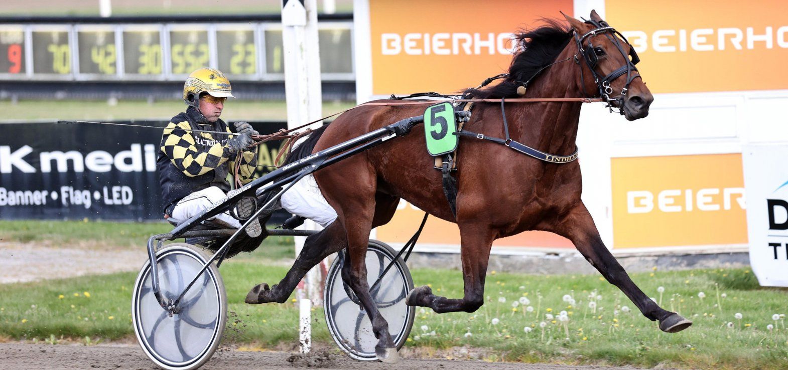 Fighter K J ved en tidligere sejr i Aalborg med Birger Jørgensen i sulkyen.