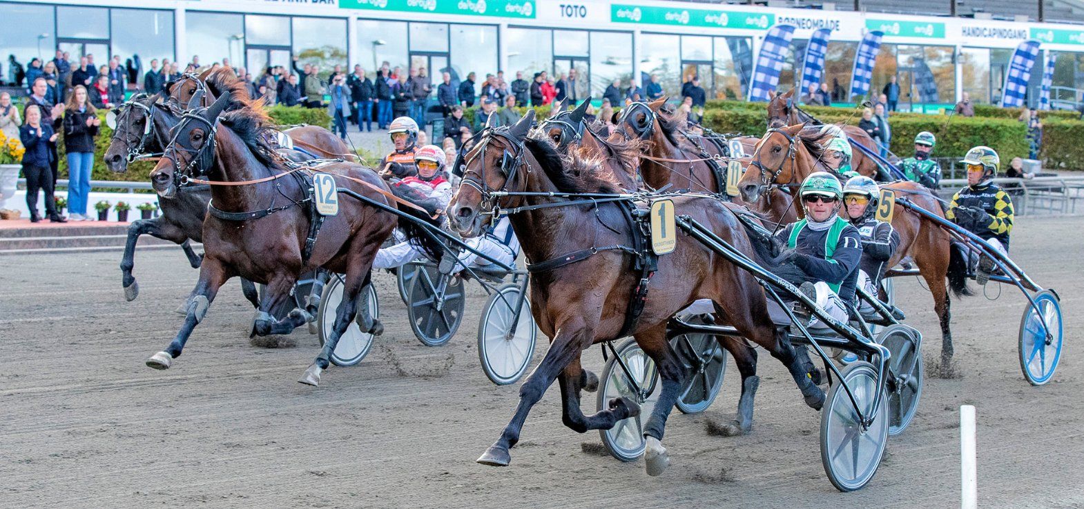 Howlingatthemoon ved sejren i Dansk Trav Kriterium 2022.