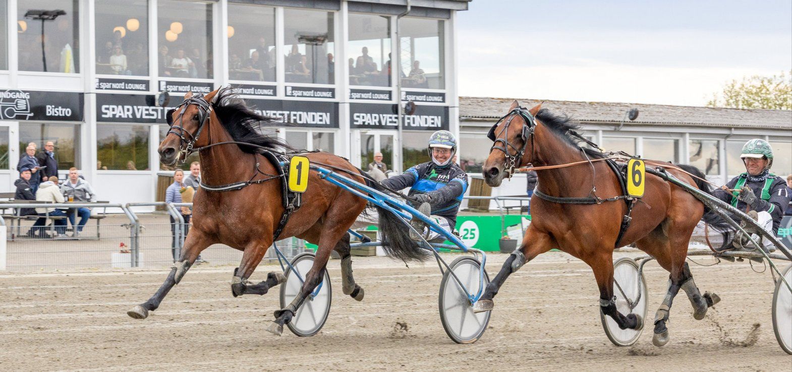 Sky Victory ved en tidligere sejr i Skive med Morten Friis i sulkyen.