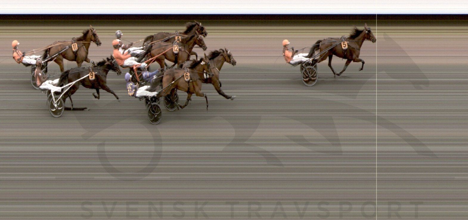 Pure Athena var sikker vinder af StoChampionatet trods et hårdt løb undervejs.