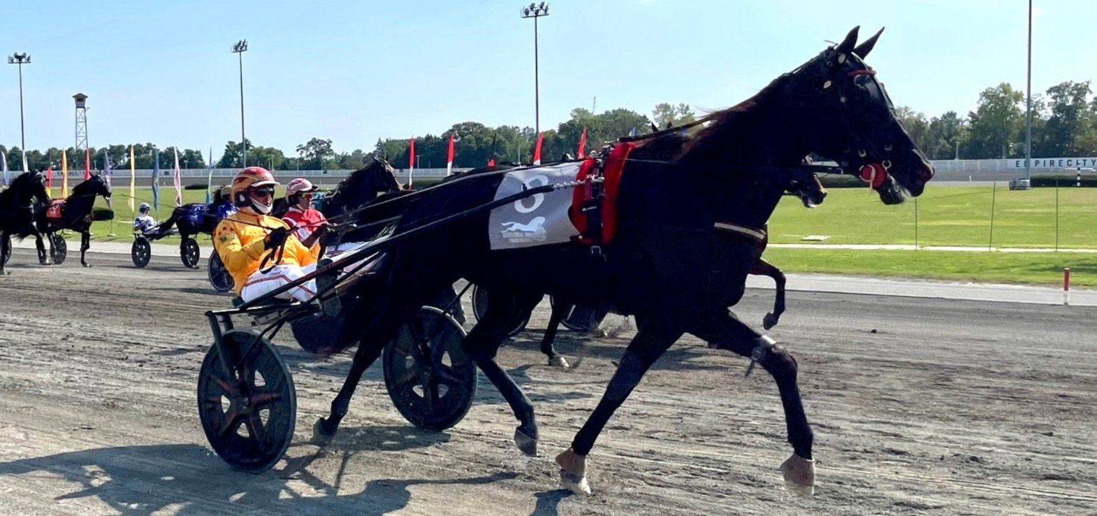 Diva Ek ved VM-løbet sidste år på Yonkers Raceway.
