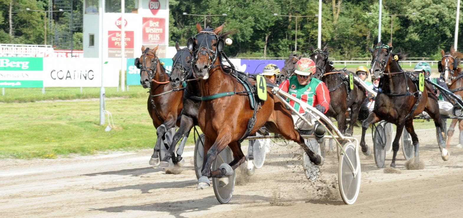 Frodo Cash ses her ved en sejr i Aarhus. Søndag gør den Steen Juul-trænede hest comeback på Nykøbing Falster Travbane.