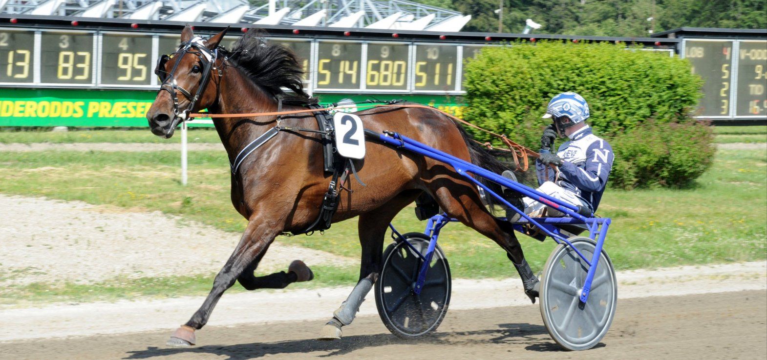 Lipa Wee vinder Jydsk 4-årings Hoppe Grand Prix med Casper M. Nielsen i sulkyen.