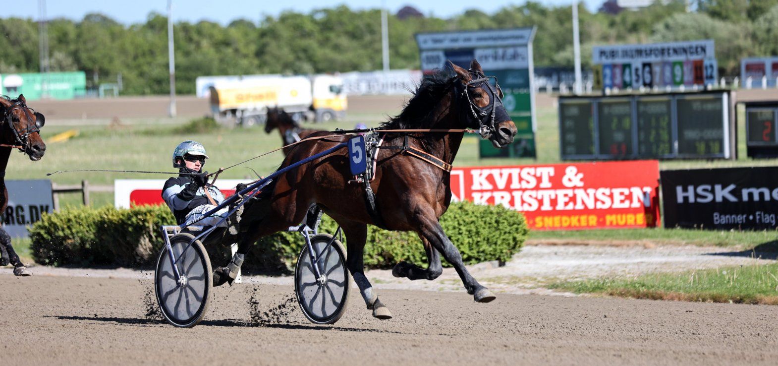 Ice Cool Surprise ved en tidligere sejr i Aalborg.