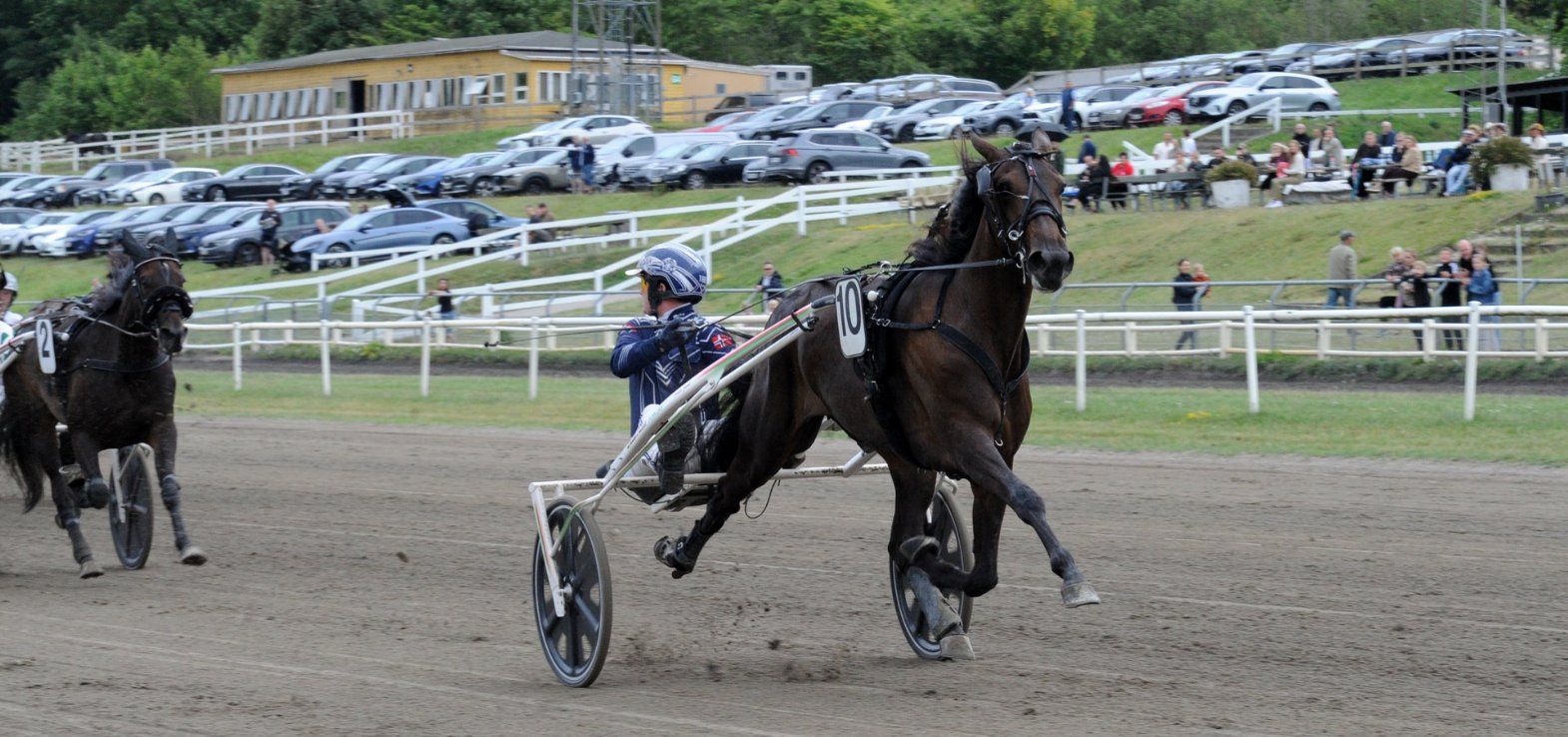 Steen Juul-jockey Patrick Larsen kigger langt efter konkurrenterne i Grand Prix-prøven med Monterey Market.