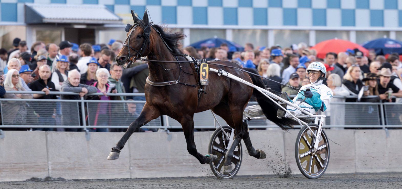 Francesco Zet i forbindelse med starten i Elitloppet 2025.