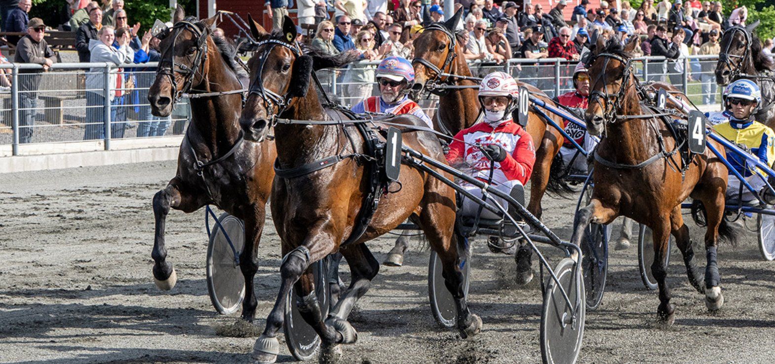 Bold Request og Mads Petersen er blandt favoritterne i årets Bornholmsmesterskab.