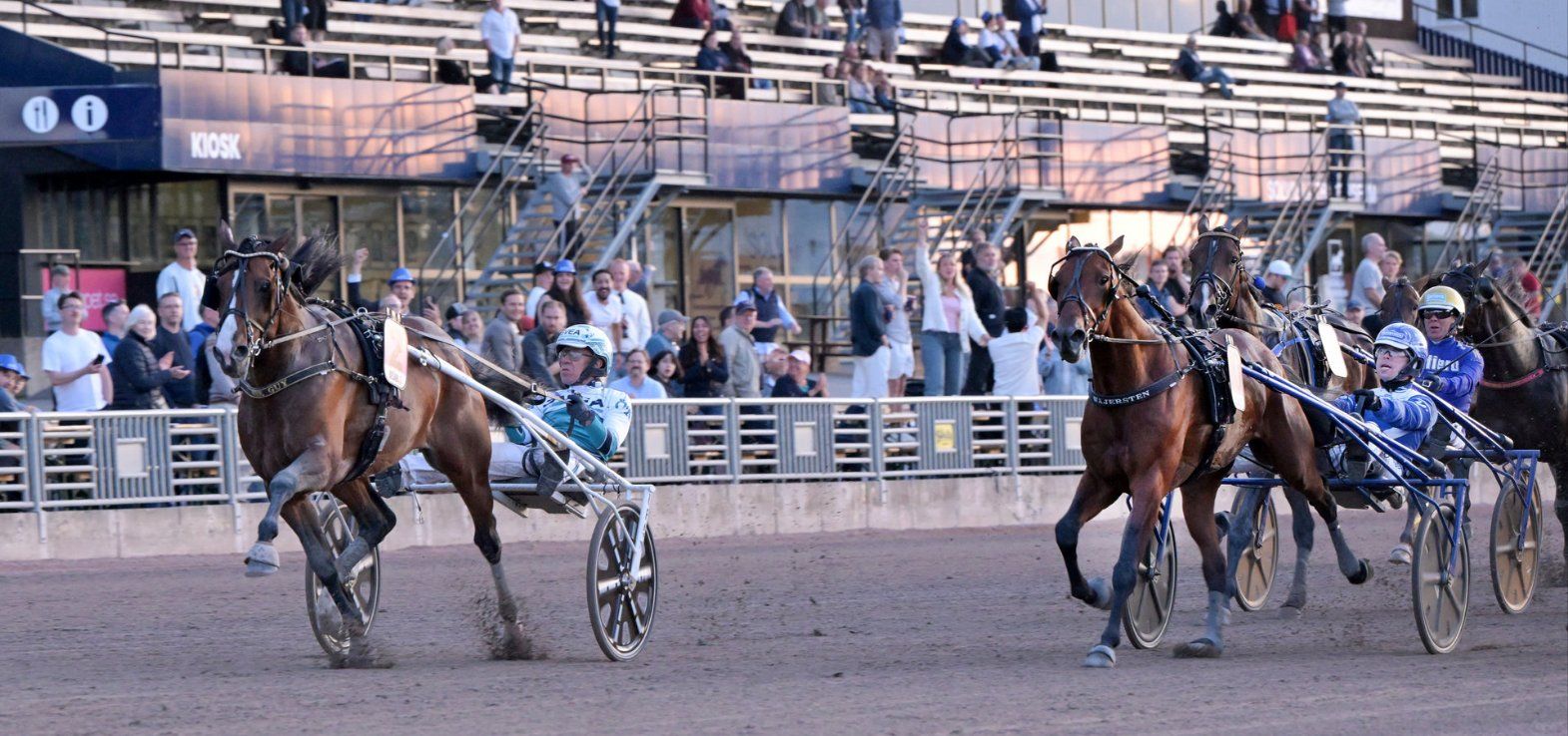 Danskopdrættede og - ejede Wise Guy gik som forventet videre til Svensk Trav Derby.