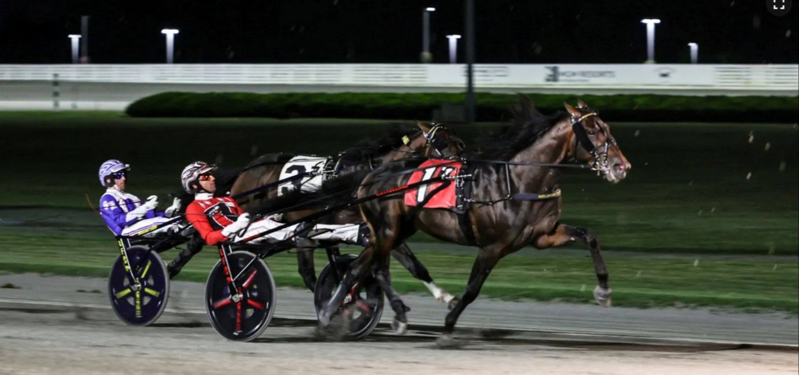 Super Chapter er blandt favoritterne i Yonkers International Trot på lørdag.