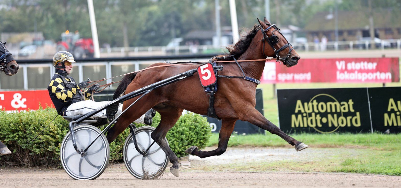 Fighter K J ved en tidligere sejr i Aalborg med Birger Jørgensen i sulkyen.