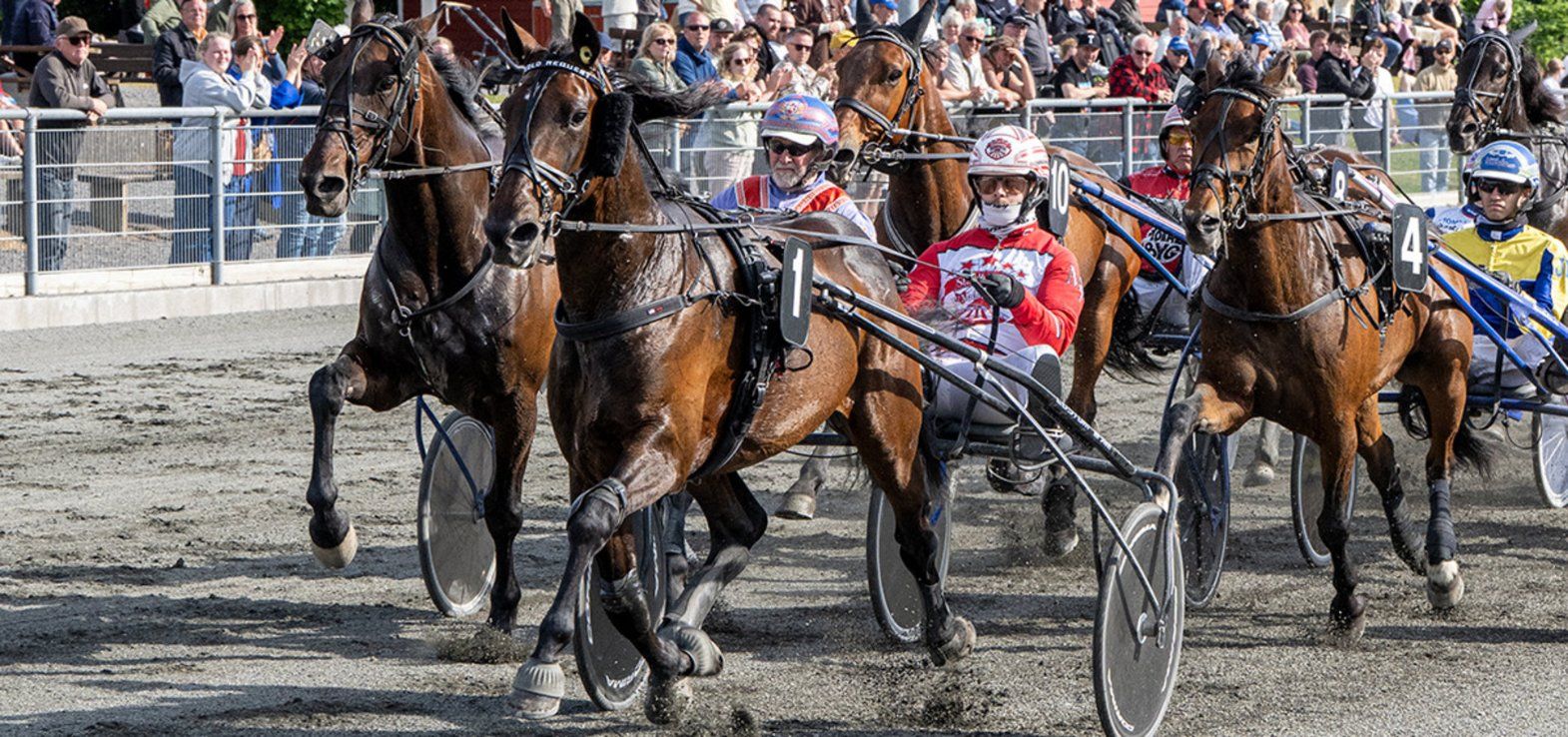 Bold Request med Mads Petersen har topchance sammen på lørdag på Bornholm.