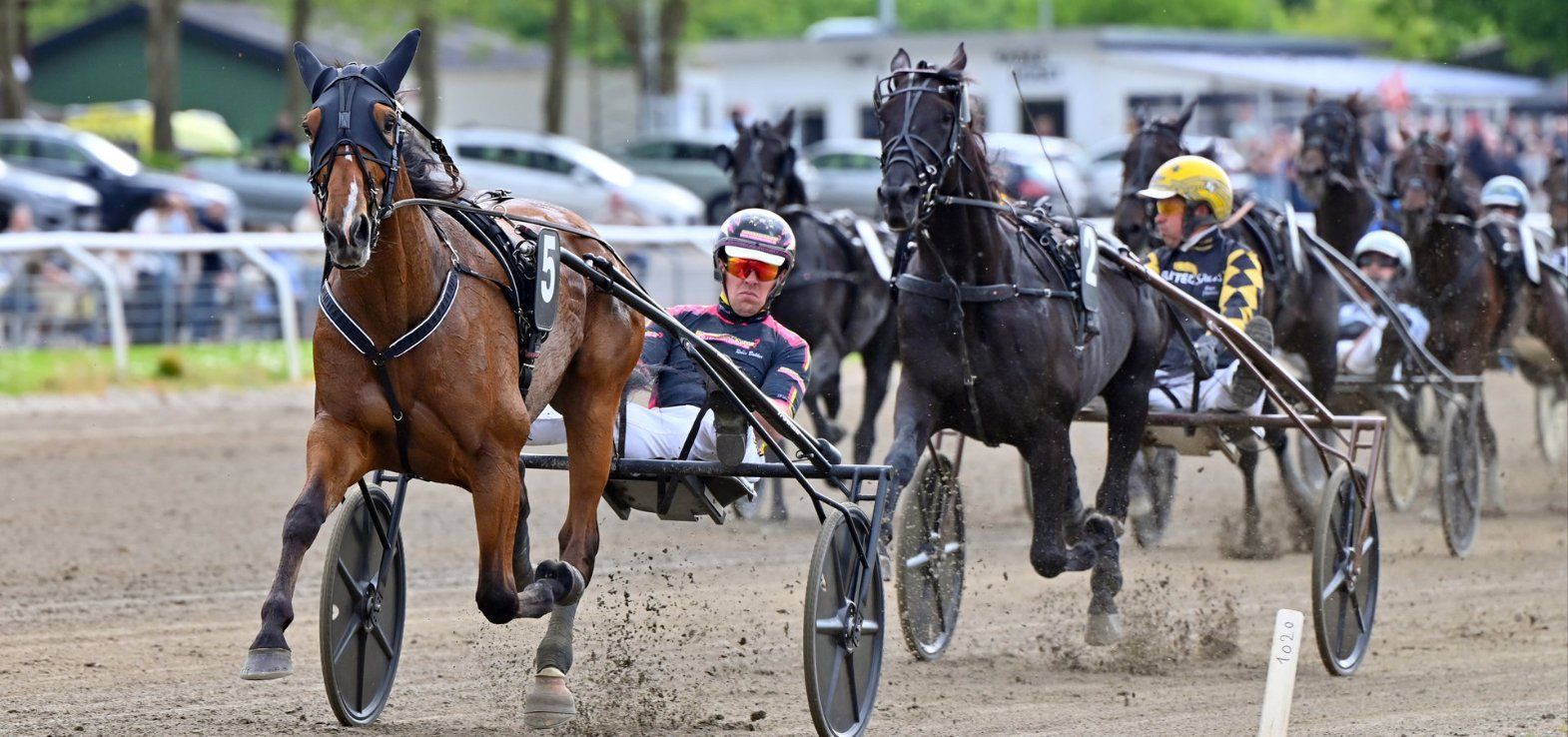 Lust For Life ved en tidligere sejr i Odense med Robin Bakker i sulkyen.
